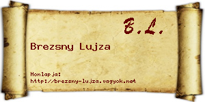 Brezsny Lujza névjegykártya